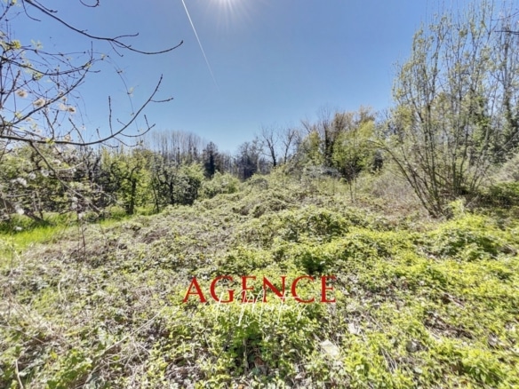 Agence immobilière, 77, ile de France, donnemarie dontilly, bray sur seine, achat, vente, maison, immobilier, recherche, terrain, fermette, briard, en à vendre, acheter,77520, 77480, 77650, 77160, 77650, 77114, longueville, gare, gouaix, provins, Montigny Lencoup, A5, autoroute, everly, hermé, thénisy, paroy, luisetaines, les ormes sur voulzie, everly, saint sauveur les bray,